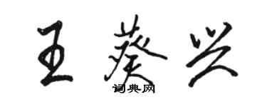 駱恆光王葵興行書個性簽名怎么寫