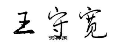 曾慶福王守寬行書個性簽名怎么寫
