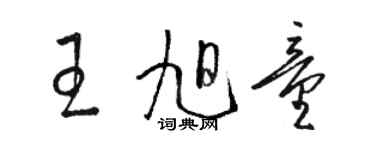 駱恆光王旭童草書個性簽名怎么寫