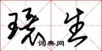 朱錫榮環生草書怎么寫