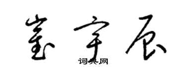 梁錦英崔宇辰草書個性簽名怎么寫