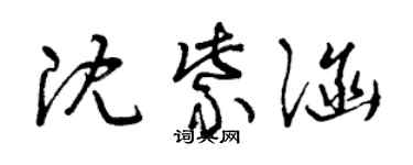 曾慶福沈紫涵草書個性簽名怎么寫