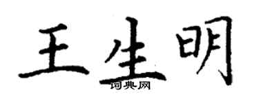 丁謙王生明楷書個性簽名怎么寫
