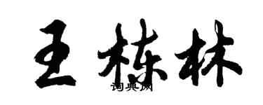 胡問遂王棟林行書個性簽名怎么寫