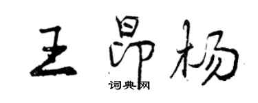 曾慶福王昂楊行書個性簽名怎么寫