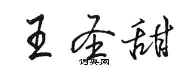 駱恆光王聖甜行書個性簽名怎么寫