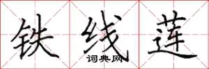 田英章鐵線蓮楷書怎么寫