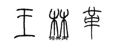 陳墨王林革篆書個性簽名怎么寫