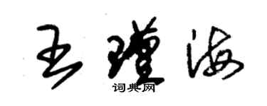 朱錫榮王瑾海草書個性簽名怎么寫