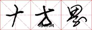 朱錫榮十方界草書怎么寫