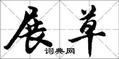 胡問遂展草行書怎么寫