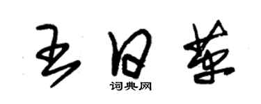 朱錫榮王日革草書個性簽名怎么寫