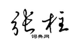 梁錦英張柱草書個性簽名怎么寫