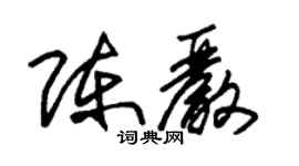 朱錫榮陳嚴草書個性簽名怎么寫