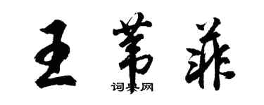 胡問遂王葦菲行書個性簽名怎么寫