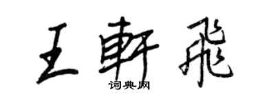 王正良王軒飛行書個性簽名怎么寫