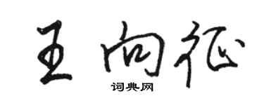 駱恆光王向征行書個性簽名怎么寫