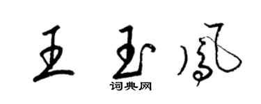 梁錦英王玉鳳草書個性簽名怎么寫