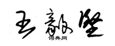 朱錫榮王毅堅草書個性簽名怎么寫