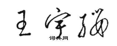 駱恆光王宇纓草書個性簽名怎么寫