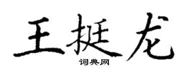 丁謙王挺龍楷書個性簽名怎么寫