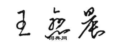 駱恆光王戀晨草書個性簽名怎么寫