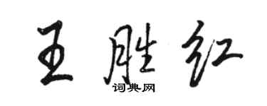 駱恆光王勝紅行書個性簽名怎么寫