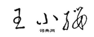 駱恆光王小纓草書個性簽名怎么寫
