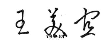 駱恆光王美宜草書個性簽名怎么寫