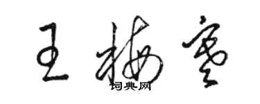 駱恆光王梅寒草書個性簽名怎么寫