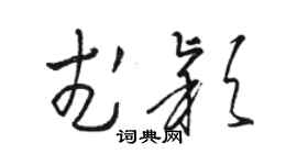 駱恆光武穎草書個性簽名怎么寫