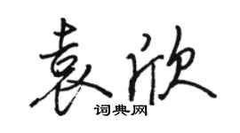 駱恆光袁欣行書個性簽名怎么寫
