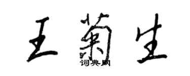 王正良王菊生行書個性簽名怎么寫