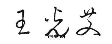 駱恆光王光艾草書個性簽名怎么寫