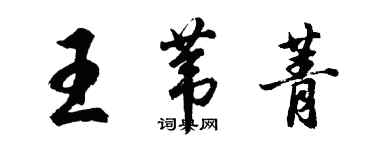 胡問遂王葦菁行書個性簽名怎么寫