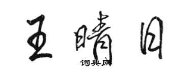 駱恆光王晴日行書個性簽名怎么寫