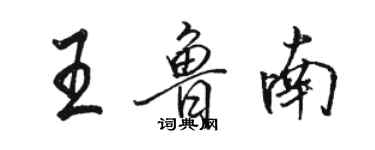 駱恆光王魯南行書個性簽名怎么寫