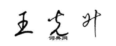 梁錦英王光升草書個性簽名怎么寫