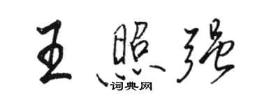 駱恆光王照強行書個性簽名怎么寫