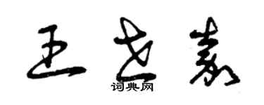 曾慶福王世嘉草書個性簽名怎么寫