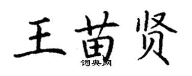 丁謙王苗賢楷書個性簽名怎么寫