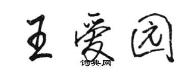 駱恆光王愛園行書個性簽名怎么寫