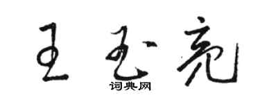 駱恆光王玉亮草書個性簽名怎么寫