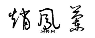 曾慶福趙鳳蘭草書個性簽名怎么寫