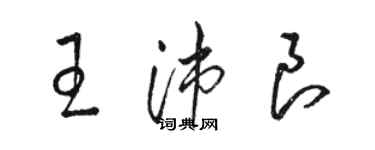 駱恆光王沛良草書個性簽名怎么寫