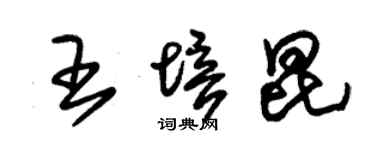 朱錫榮王培昆草書個性簽名怎么寫