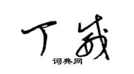 梁錦英丁威草書個性簽名怎么寫