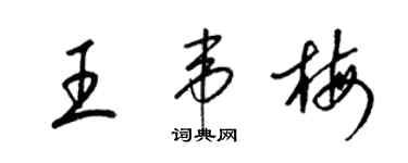 梁錦英王韋梅草書個性簽名怎么寫