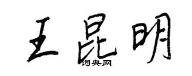 王正良王昆明行書個性簽名怎么寫