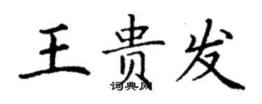 丁謙王貴發楷書個性簽名怎么寫